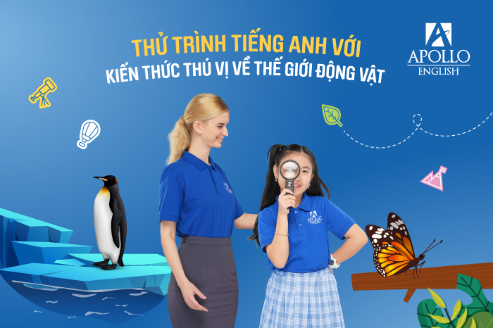 Thử trình tiếng anh với kiến thức thú vị về thế giới động vật