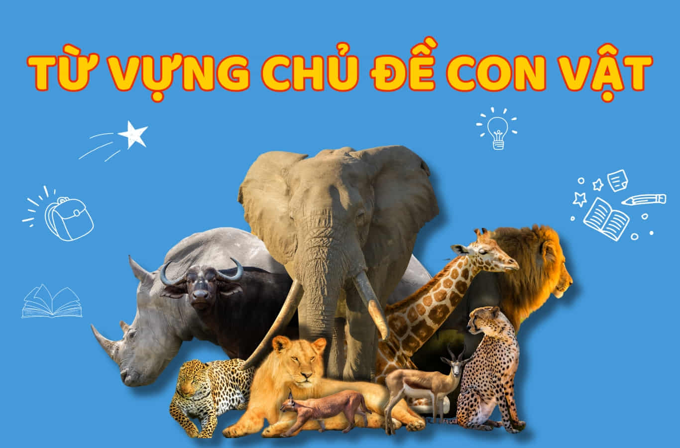 100+ Từ vựng tiếng Anh chủ đề con vật cho bé