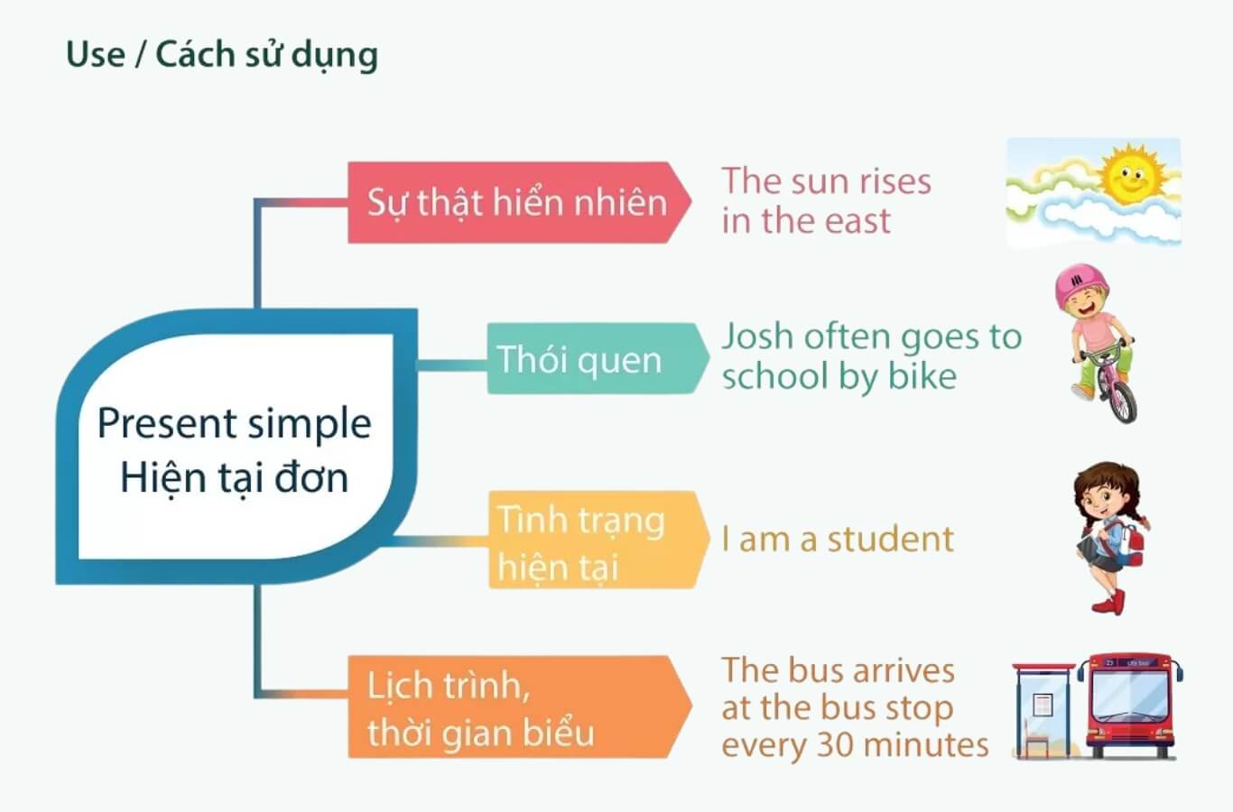 Nếu nhìn thấy những dấu hiệu trên, thì hãy chia thì hiện tại đơn