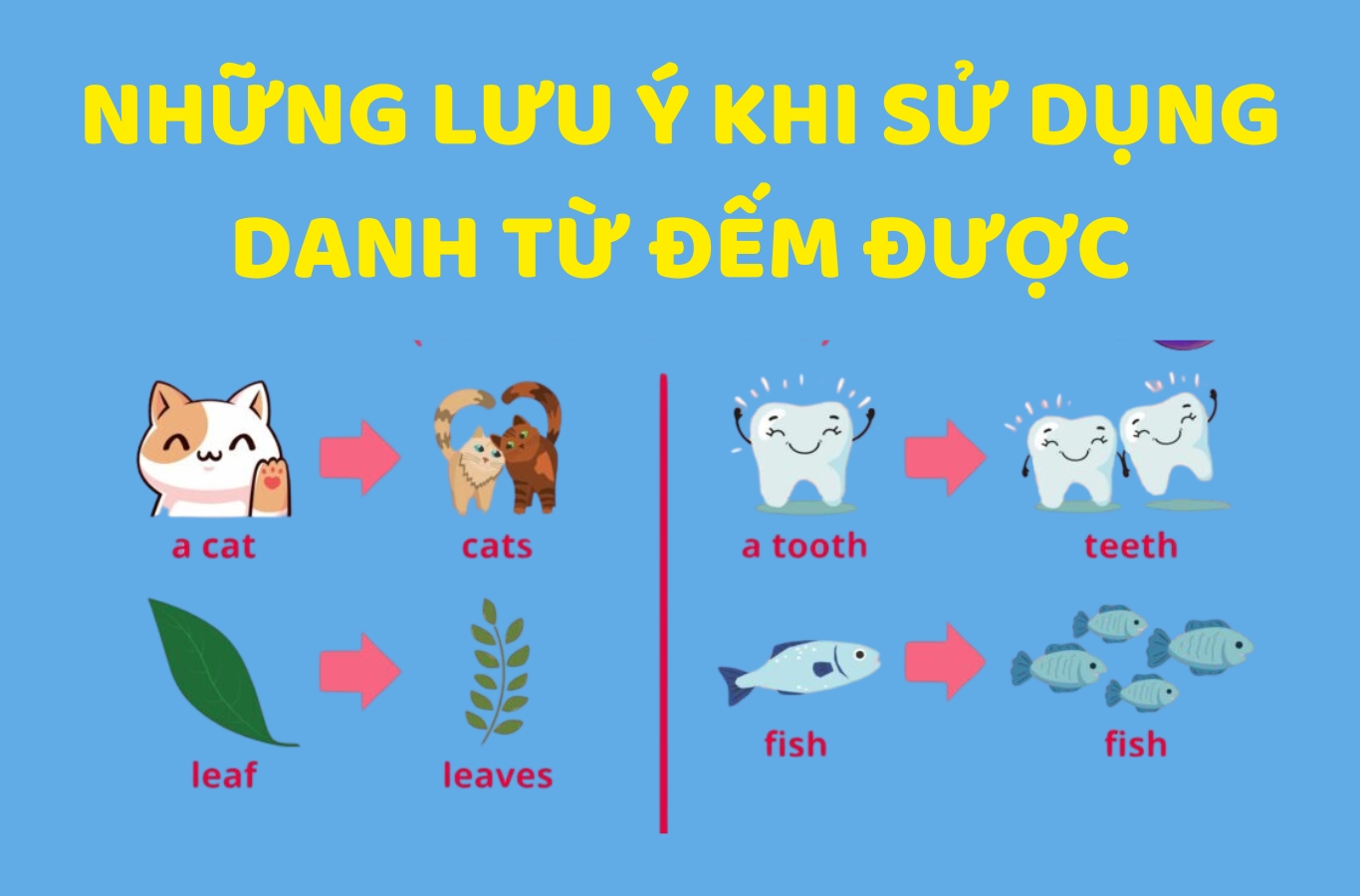 Cần lưu ý một số quy tắc cơ bản về cách kết hợp, chia động từ và lượng từ đi kèm