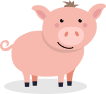 pig